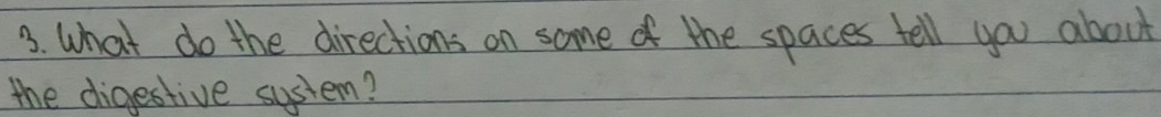 What do the directions on some of the spaces tell you about 
the digestive system?