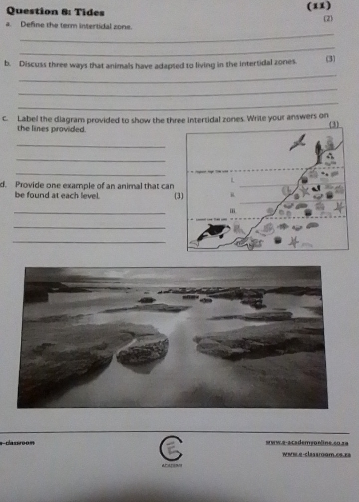 Tides (11) 
(2) 
_ 
a. Define the term intertidal zone. 
_ 
b. Discuss three ways that animals have adapted to living in the intertidal zones. (3) 
_ 
_ 
_ 
c. Label the diagram provided to show the three intertidal zones. Write your answers on 
the lines provided. 
_ 
_ 
_ 
d. Provide one example of an animal that can 
be found at each level. 
_ 
_ 
_ 
a-classroom www.e-academyonline.co.za 
www.e-classroom.co.za 
ACADEMN