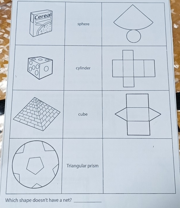 Which shape doesn't have a net?_