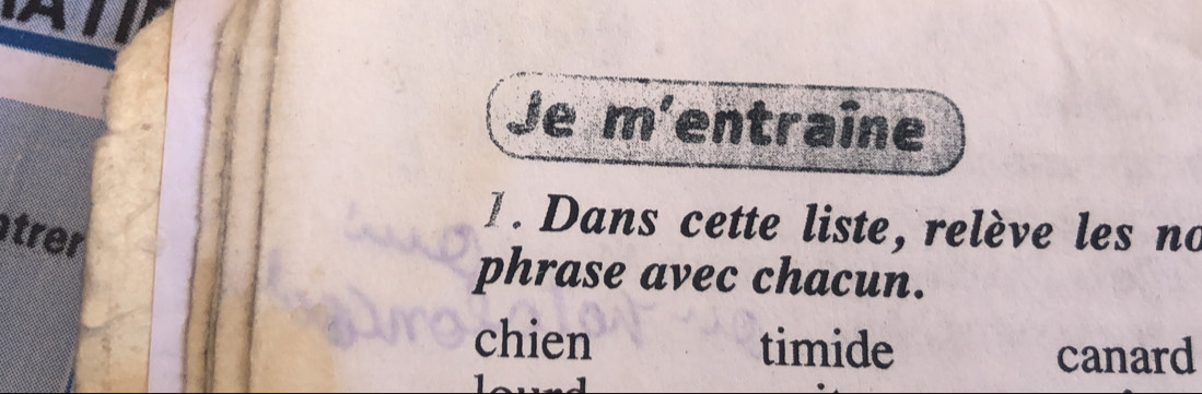 Je m' entraîne
1. Dans cette liste, relève les no
trer
phrase avec chacun.
chien timide
canard
1