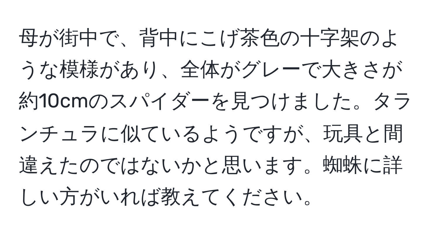 母が街中で、背中にこげ茶色の十字架のような模様があり、全体がグレーで大きさが約10cmのスパイダーを見つけました。タランチュラに似ているようですが、玩具と間違えたのではないかと思います。蜘蛛に詳しい方がいれば教えてください。