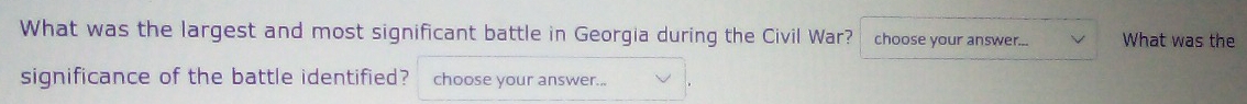 What was the largest and most significant battle in Georgia during the Civil War? choose your answer.. What was the 
significance of the battle identified? choose your answer...