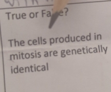 True or Fake? 
The cells produced in 
mitosis are genetically 
identical