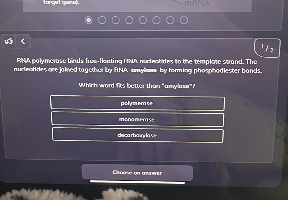 target gene). mRNA
1 12
RNA polymerase binds free-floating RNA nucleotides to the template strand. The
nucleotides are joined together by RNA amylase by forming phosphodiester bonds.
Which word fits better than "amylase"?
polymerase
monomerase
decarboxylase
Choose an answer