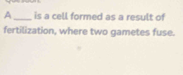 A_ is a cell formed as a result of 
fertilization, where two gametes fuse.