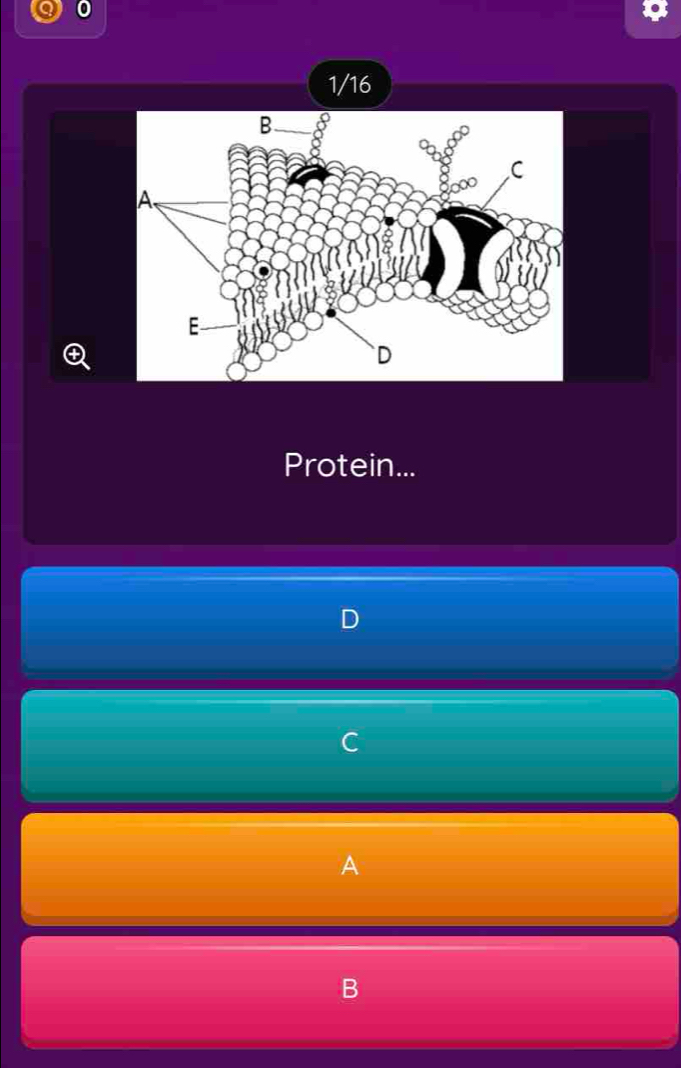 0
1/16
Protein...
A
B