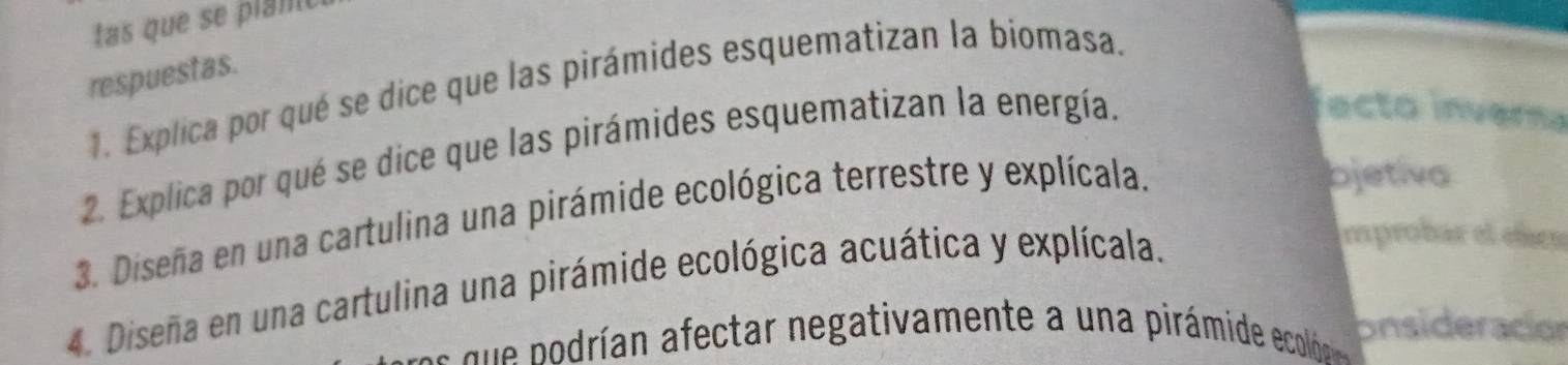 tas que se planio 
respuestas. 
1. Explica por qué se dice que las pirámides esquematizan la biomasa. 
2. Explica por qué se dice que las pirámides esquematizan la energía. 
facto inverna 
3. Diseña en una cartulina una pirámide ecológica terrestre y explícala. 
bjetiva 
4. Diseña en una cartulina una pirámide ecológica acuática y explícala. 
mprobar el éen 
e od a egativamente un a pirám de ecodó pnsideración