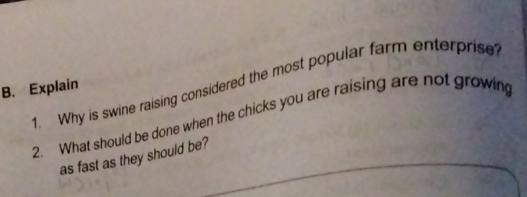 Why is swine raising considered the most popular farm enterprise? 
B. Explain 
2. What should be done when the chicks you are raising are not growing 
as fast as they should be?