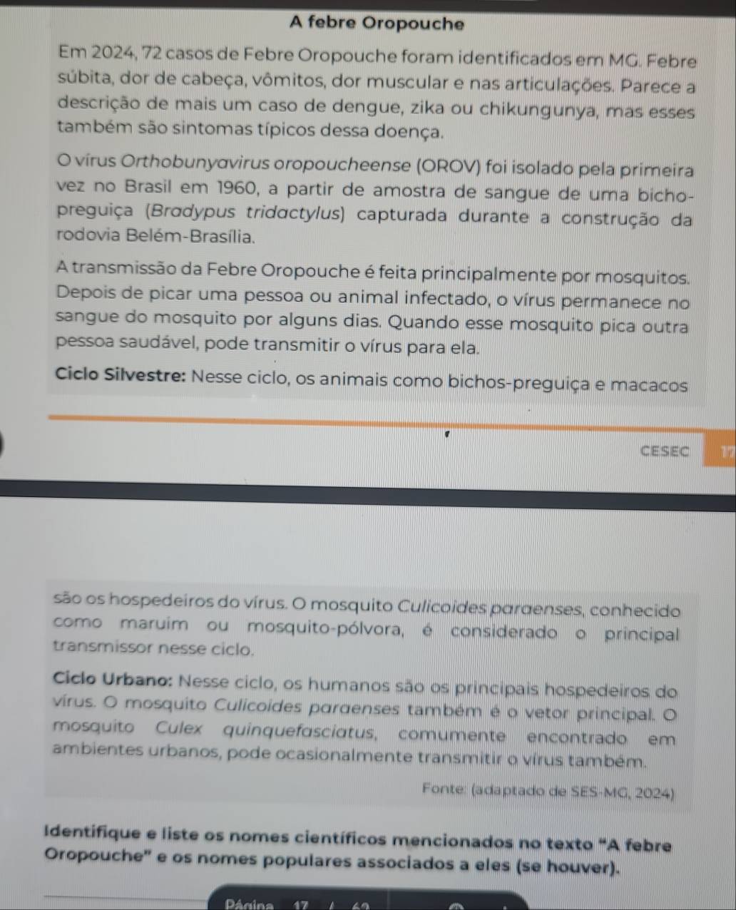 A febre Oropouche 
Em 2024, 72 casos de Febre Oropouche foram identificados em MG. Febre 
súbita, dor de cabeça, vômitos, dor muscular e nas articulações. Parece a 
descrição de mais um caso de dengue, zika ou chikungunya, mas esses 
também são sintomas típicos dessa doença. 
O vírus Orthobunyσvirus oropoucheense (OROV) foi isolado pela primeira 
vez no Brasil em 1960, a partir de amostra de sangue de uma bicho- 
preguiça (Bradypus tridactylus) capturada durante a construção da 
rodovia Belém-Brasília. 
A transmissão da Febre Oropouche é feita principalmente por mosquitos. 
Depois de picar uma pessoa ou animal infectado, o vírus permanece no 
sangue do mosquito por alguns dias. Quando esse mosquito pica outra 
pessoa saudável, pode transmitir o vírus para ela. 
Ciclo Silvestre: Nesse ciclo, os animais como bichos-preguiça e macacos 
CESEC 
são os hospedeiros do vírus. O mosquito Culicoídes paraenses, conhecido 
como maruim ou mosquito-pólvora, é considerado o principal 
transmissor nesse ciclo. 
Ciclo Urbano: Nesse ciclo, os humanos são os principais hospedeiros do 
vírus. O mosquito Culicoides pargenses também é o vetor principal. O 
mosquito Culex quinquefasciatus, comumente encontrado em 
ambientes urbanos, pode ocasionalmente transmitir o vírus também. 
Fonte: (adaptado de SES-MG, 2024) 
Identifique e liste os nomes científicos mencionados no texto “A febre 
Oropouche' e os nomes populares associados a eles (se houver).