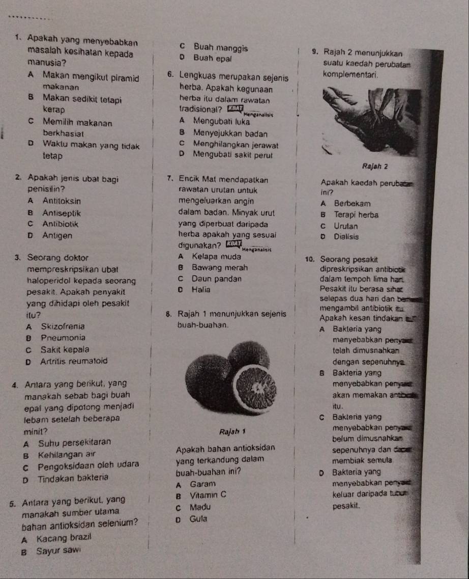 Apakah yang menyebabkan c Buah manggis 9. Rajah 2 menunjukkan
masalah kesihatan kepada D Buah epal suatu kaedah perubala
manusia?
A Makan mengikut piramid 6. Lengkuas merupakan sejenis komplementari.
makanan herba. Apakah kegunaan
B Makan sedikit telapi
herba ilu dalam rawatan
kerap tradisional?
Menganalisit
c Memilih makanan A Mengubati luka
berkhasiat B Menyejukkan badan
D Waklu makan yang tida C Menghilangkan jerawat
D Mengubati sakit perut
tetap Rajah 2
2. Apakah jenis ubat bagi 7、 Encik Mal mendapatkan Apakah kaedah peruba
penisil in? rawatan urutan untuk ini?
A Antitoksin mengeluarkan angin A Berbekam
B Antiseptik dalam badan. Minyak urut B Terapi herba
C Antibiotik yang diperbuat daripada c Urutan
D Antigen herba apakah yang sesuai D Dialisis
digunakan? Henganain is
3. Seorang doktor A Kelapa muda 10. Seorang pesakit
mempreskripsikan ubal B Bawang merah dipreskripsikan antibiok
haloperidol kepada seorang c Daun panda dalam tempoh lima har.
pesakit. Apakah penyaki D Halia Pesakit ilu berasa siha
selepas dua han dan bane 
yang dihidapi oleh pesakit mengambil antibiotik it 
ilu? 8. Rajah 1 menunjukkan sejenis Apakah kesan tindakan
A Skizofrenia buah-buahan. A Bakleria yang
B Pneumoniamenyebabkan penyar
c Sakit kepalatelah dimusnahkan
D Artrilis reumaloiddengan sepenuhny 
B Bakteria yang
4. Antara yang berikut, yangmenyebabkan penya 
manakah sebab bagi buahakan memakan artil  .
epal yang dipo1ong menjadiitu .
lebam setelah beberapaC Baktera yang
minit? Rajsh 1 menyebabkan penyars
A Suhu persekitaran belum dimusnahkas
B Kehilangan air Apakah bahan antioksidan sepenühnya dan dace 
C Pengoksidaan oleh udara yang terkandung dalam membiak semula
D Tindakan bakteria buah-buahan ini? D Bakteria yang
A Garam menyebabkan penyed
5. Antara yang berikut, yang B Vitamin C keluar daripada tube
manakah sumber utama c Madu pesakit.
bahan antioksidan selenium? o Gula
A Kacang brazil
B Sayur saw