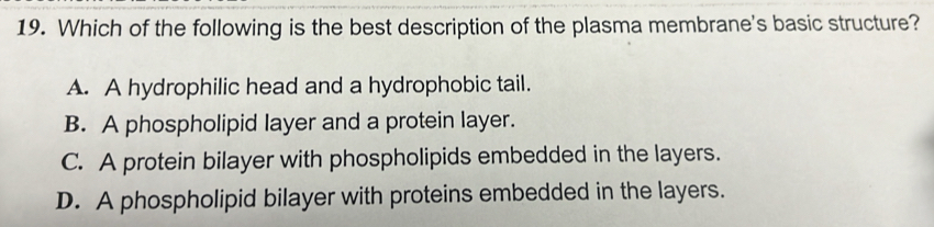 Which of the following is the best description of the plasma membrane's basic structure?
A. A hydrophilic head and a hydrophobic tail.
B. A phospholipid layer and a protein layer.
C. A protein bilayer with phospholipids embedded in the layers.
D. A phospholipid bilayer with proteins embedded in the layers.