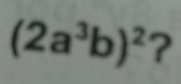 (2a^3b)^2 ?