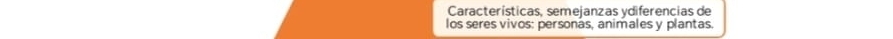 Características, semejanzas ydiferencias de 
los seres vivos: personás, animales y plantas.