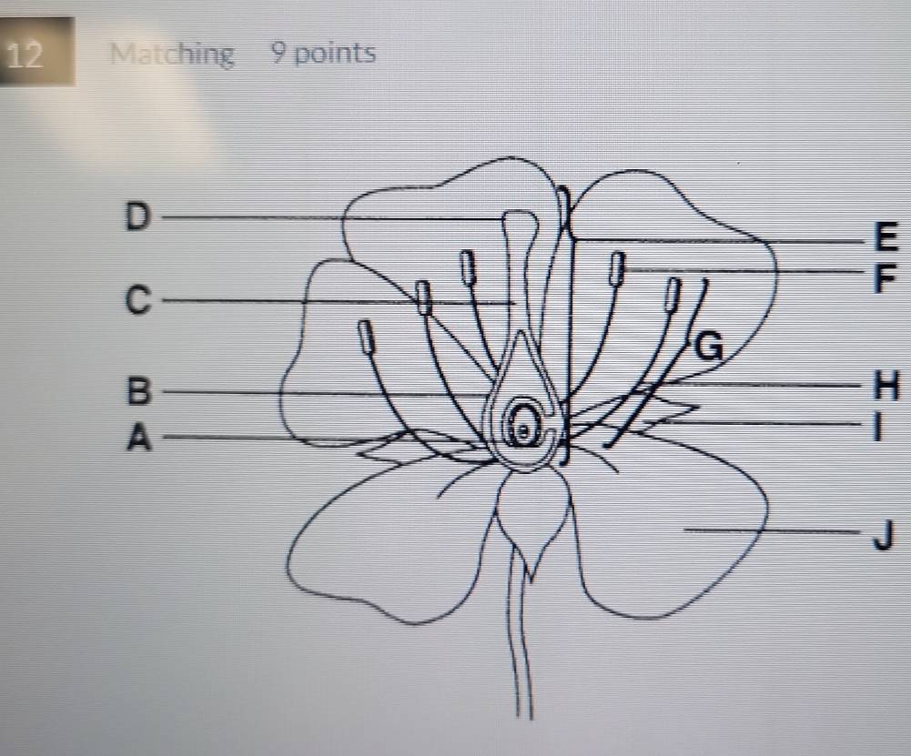 Matching 9 points
E
F
H
|
J