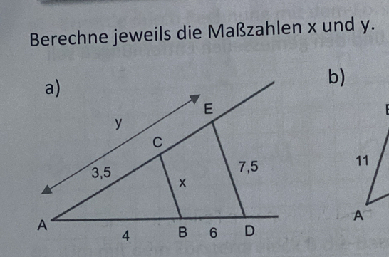 Gelöst:Berechne jeweils die Maßzahlen x und y. b)