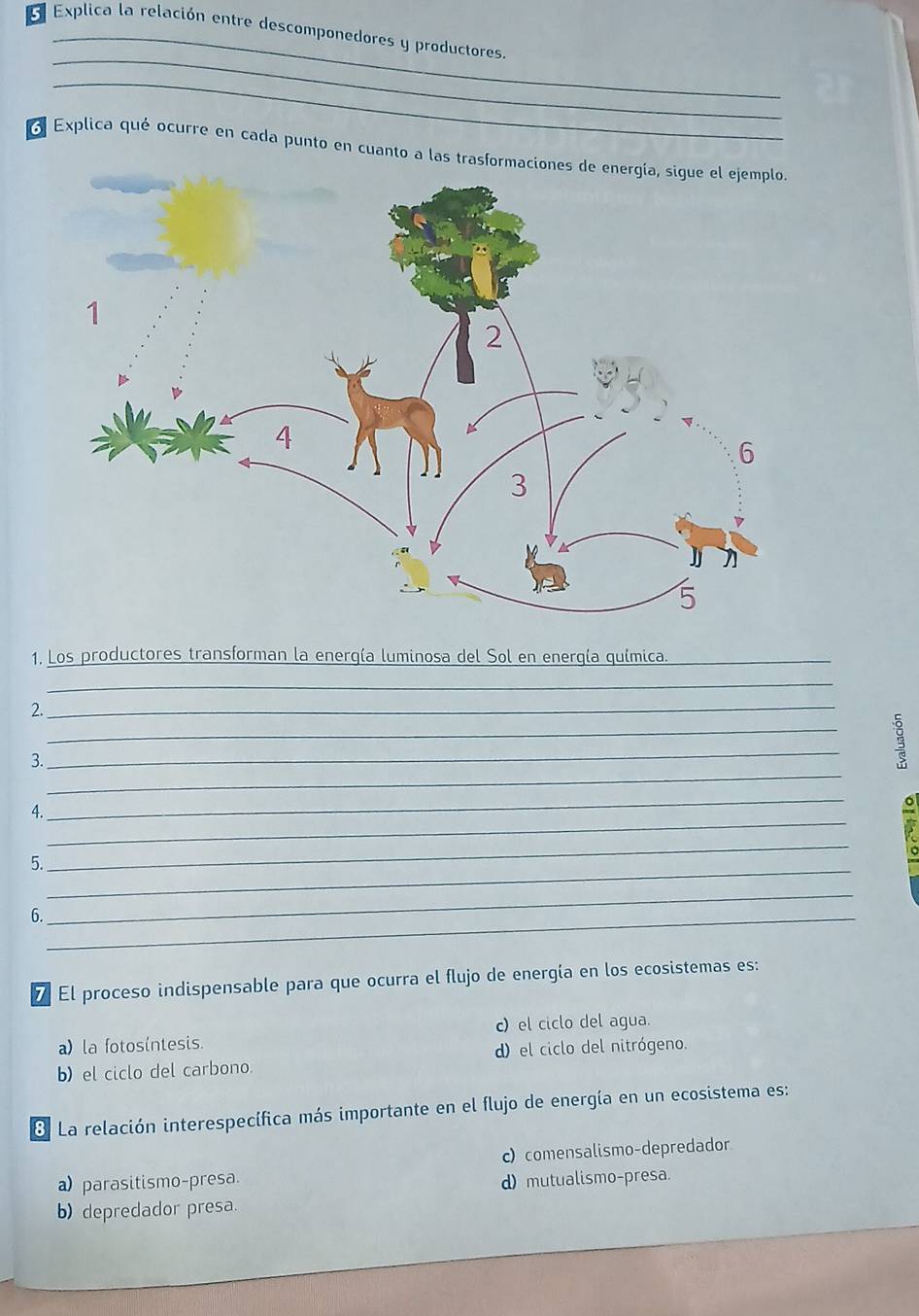 Explica la relación entre descomponedores y productores.
_
_
6 Explica qué ocurre en cada punto en cuanto a las trasfo
1, Los productores transforman la energía luminosa del Sol en energía química._
_
2._
_
_
_
3.
_
_
4.
_
5.
_
6._
_
7 El proceso indispensable para que ocurra el flujo de energía en los ecosistemas es:
a) la fotosíntesis. c) el ciclo del agua.
b) el ciclo del carbono. d) el ciclo del nitrógeno.
8. La relación interespecífica más importante en el flujo de energía en un ecosistema es:
c) comensalismo-depredador
a) parasitismo-presa. d) mutualismo-presa.
b) depredador presa.