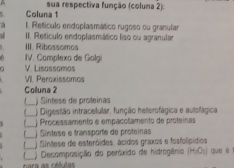 A sua respectiva função (coluna 2): 
5 . Coluna 1 
a 1. Retículo endoplasmático rugoso ou granular 
al II. Retículo endoplasmático liso ou agranular 
, . III. Ribossomos 
IV. Complexo de Golgi 
a V. Lisossomos 
VI. Peroxissomos 
Coluna 2 
_) Síntese de proteínas 
_) Digestão intracelular, função heterofágica e autofágica 
. _) Processamento e empaçotamento de proteínas 
_) Síntese e transporte de proteínas 
. _) Sintese de esteróides, ácidos graxos e fosfolipídios 
_) Decomposição do peróxido de hidrogênio (H_2O_2) que é t 
para as células