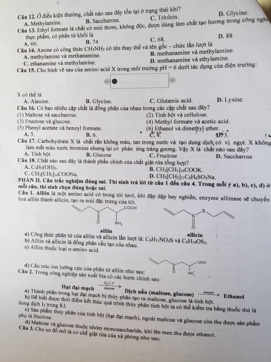 Ở điều kiện thường, chất nào sau đây tồn tại ở trạng thái khí?
D. Glycine.
A. Methylamine. B. Saccharose. C. Triolein.
Câu 13. Ethyl formate là chất có mùi thơm, không độc, được dùng làm chất tạo hương trong công nghĩ
thực phẩm, có phân tử khối là
C. 68.
A. 60. B. 74 D. 88
Câu 14. Amine có công thức CH₃NH₂ có tên thay thế và tên gốc - chức lần lượt là
A. methylamine và methanamine. B. methanamine và methylamine.
C. ethanamine và methylamine. D. methanamine và ethylamine.
Câu 15. Cho hình vẽ sau của amino acid X trong môi trường pH I=6 dưới tác dụng của điện trường:
X có thể là
A. Alanine. B. Glycine. C. Glutamic acid. D. Lysine.
Câu 16. Có bao nhiêu cặp chất là đồng phân của nhau trong các cặp chất sau đây?
(1) Maltose và saccharose. (2) Tinh bột và cellulose.
(3) Fructose và glucose. (4) Methyl formate và acetic acid.
(5) Phenyl acetate và benzyl formate. (6) Ethanol và dimethy! ether.
A. 5. B. 6. C. 4: D. 3.
Câu 17. Carbohydrate X là chất rắn không màu, tan trong nước và tạo dung dịch có vị ngọt. X không
làm mất màu nước bromine nhưng lại có phản ứng tráng gương. Vậy X là chất nào sau đây?
A. Tinh bột B. Glucose C. Fructose D. Saccharose
Câu 18. Chất nào sau đây là thành phần chính của chất giặt rửa tổng hợp?
A. C_3H_5(OH)_3.
B. CH_3[CH_2]_1 _6COOK.
C. CH_3[CH_2]_14COONa
D. CH_3[CH_2]_11C_6H_4SO_3Na.
PHẢN II. Câu trắc nghiệm đúng sai. Thí sinh trả lời từ câu 1 đến câu 4. Trong mỗi ya),b),c),d) ở
mỗi câu, thí sinh chọn đúng hoặc sai.
Câu 1. Alliin là một amino acid có trong tỏi tươi, khi đập dập hay nghiền, enzyme alliinase sẽ chuyển
hoá alliin thành allicin, tạo ra mùi đặc trưng của tỏi.
allicin
a) Công thức phân tử của alliin và allicin lần lượt là: C_6H_11NO_3S và C_6H_10OS_2.
b) Alliin và allicin là đồng phân cấu tạo của nhau.
c) Alliin thuộc loại α-amino acid.
d) Cầu trúc ion lưỡng cực của phân tử alliin như sa
Câu 2. Trong công nghiệp sản xuất bia có các bước chính sau:
Hạt đại mạch enzyme Dịch nấu (maltose, glucose) enzyme Ethanol
a) Thành phần trong hạt đại mạch bị thủy phân tạo ra maltose, glucose là tinh bột.
b) Đề biết được thời điểm kết thúc quá trình thủy phân tinh bột ta có thể kiểm tra bằng thuốc thử là
dung dịch I₂ trong KI.
c) Sản phẩm thủy phân của tinh bột (hạt đại mạch), ngoài maltose và glucose còn thu được sản phẩm
phụ là fructose.
d) Maltose và glucose thuộc nhóm monosaccharide, khi lên men thu được ethanol.
Câu 3. Cho sơ đồ mô tả cơ chế giặt rửa của xà phòng như sau: