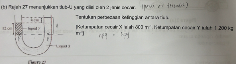 Rajah 27 menunjukkan tiub-U yang diisi oleh 2 jenis cecair. 
entukan perbezaan ketinggian antara tiub. 
Ketumpatan cecair X ialah 800m^(-3) , Ketumpatan cecair Y ialah 1 200 kg
m^(-3)]
Figure 27