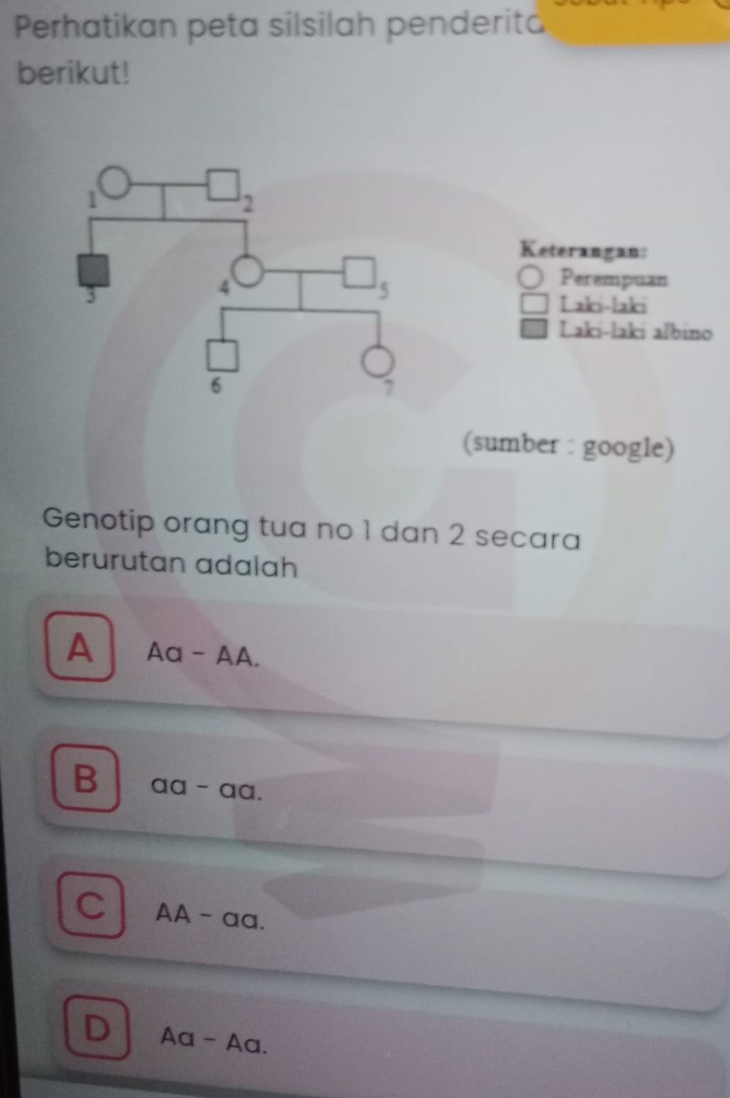 Perhatikan peta silsilah penderita
berikut!
Keterangan:
Perempuan
Laki-laki
Laki-laki albino
(sumber : google)
Genotip orang tua no 1 dan 2 secara
berurutan adalah
A Ac I-AA.
B aa-aa.
C AA - aa.
D Aa-Aa