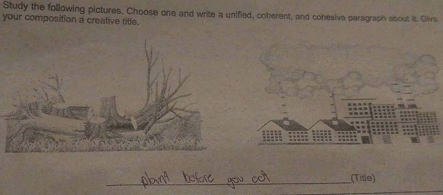 Study the following pictures. Choose one and write a unified, coherent, and cohesive paragraph about it. Give 
your composition a creative title. 
_(Title)