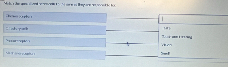 Match the specialized nerve cells to the senses they are responsible for.
Chemoreceptors
Olfactory cells Taste
Touch and Hearing
Photoreceptors Vision
Mechanoreceptors
Smell