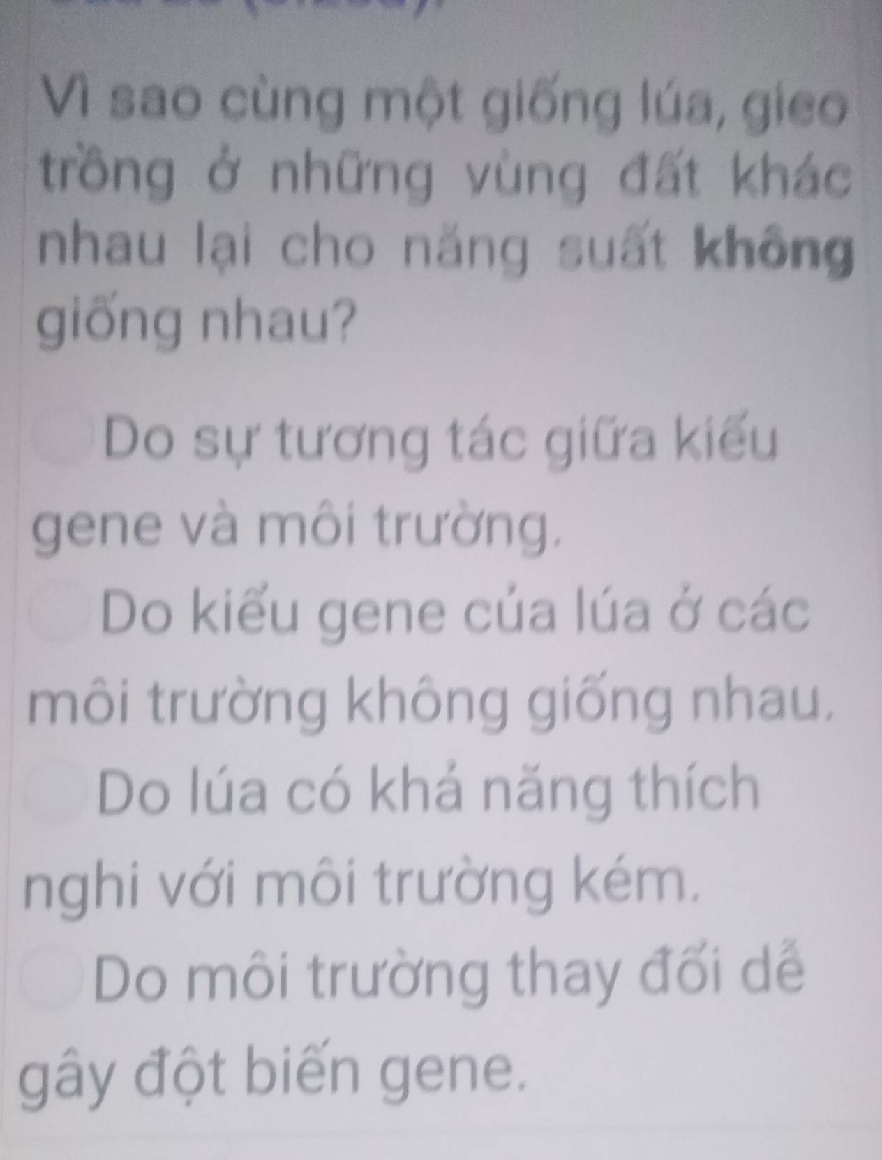 Vì sao cùng một giống lúa, gieo
trồng ở những vùng đất khác
nhau lại cho năng suất không
giống nhau?
Do sự tương tác giữa kiểu
gene và môi trường.
Do kiểu gene của lúa ở các
môi trường không giống nhau.
Do lúa có khá năng thích
nghi với môi trường kém.
Do môi trường thay đối dể
gây đột biến gene.