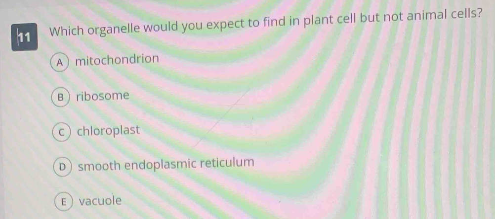 Which organelle would you expect to find in plant cell but not animal cells?
Amitochondrion
Bribosome
cchloroplast
Dsmooth endoplasmic reticulum
Evacuole