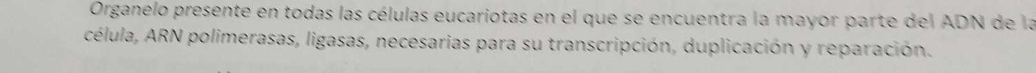 Organelo presente en todas las células eucariotas en el que se encuentra la mayor parte del ADN de la 
célula, ARN polimerasas, ligasas, necesarias para su transcripción, duplicación y reparación.