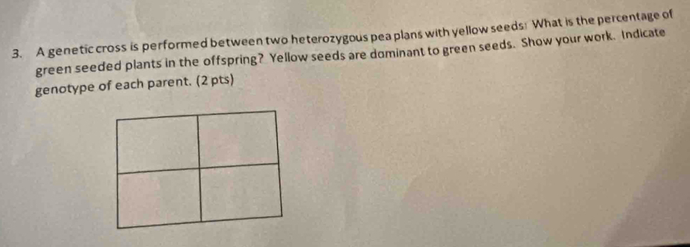 A genetic cross is performed between two heterozygous pea plans with yellow seeds! What is the percentage of 
green seeded plants in the offspring? Yellow seeds are dominant to green seeds. Show your work. Indicate 
genotype of each parent. (2 pts)