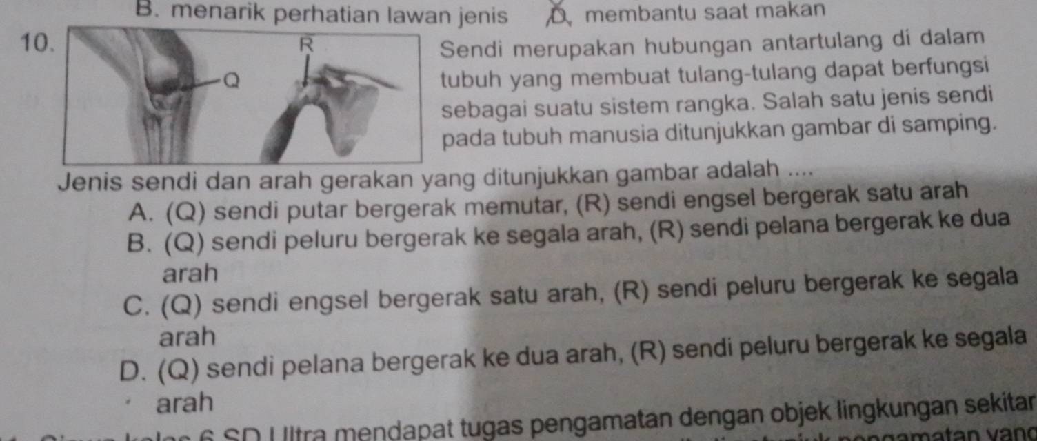 B. menarik perhatian lawan jenis D membantu saat makan
1Sendi merupakan hubungan antartulang di dalam
ubuh yang membuat tulang-tulang dapat berfungsi
sebagai suatu sistem rangka. Salah satu jenis sendi
pada tubuh manusia ditunjukkan gambar di samping.
Jenis sendi dan arah gerakan yang ditunjukkan gambar adalah ....
A. (Q) sendi putar bergerak memutar, (R) sendi engsel bergerak satu arah
B. (Q) sendi peluru bergerak ke segala arah, (R) sendi pelana bergerak ke dua
arah
C. (Q) sendi engsel bergerak satu arah, (R) sendi peluru bergerak ke segala
arah
D. (Q) sendi pelana bergerak ke dua arah, (R) sendi peluru bergerak ke segala
arah
6 SD U ltra mendapat tugas pengamatan dengan objek lingkungan sekitan