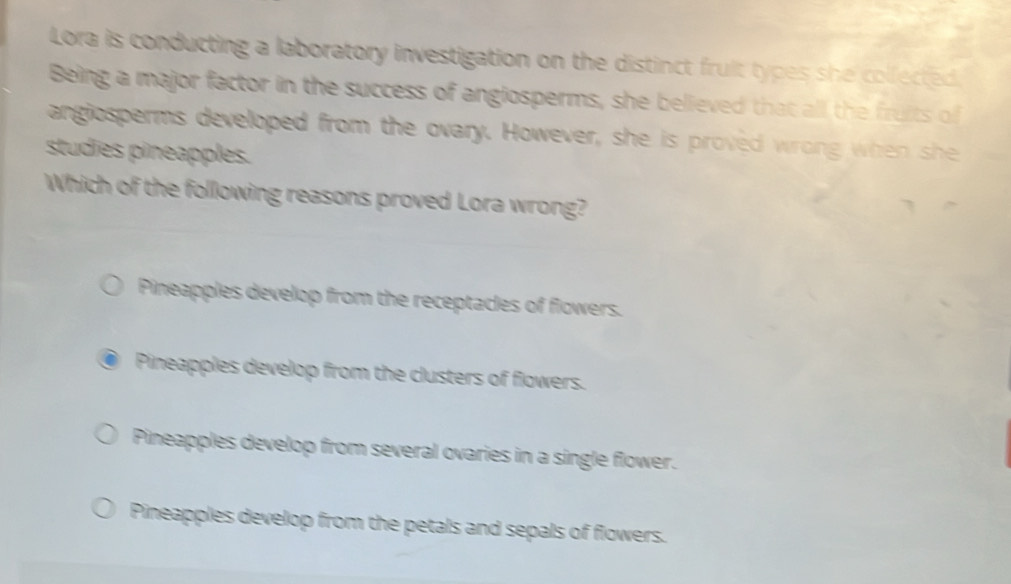 Lora is conducting a laboratory investigation on the distinct frult types she colfected
Being a major factor in the success of angiosperms, she believed that all the fruits of
angiosperms developed from the ovary. However, she is proved wrong when she
studies pineapples.
Which of the following reasons proved Lora wrong?
Pineapples develop from the receptacles of flowers.
Pineapples develop from the clusters of flowers.
Pineapples develop from several ovaries in a single flower.
Pineapples develop from the petals and sepals of flowers.