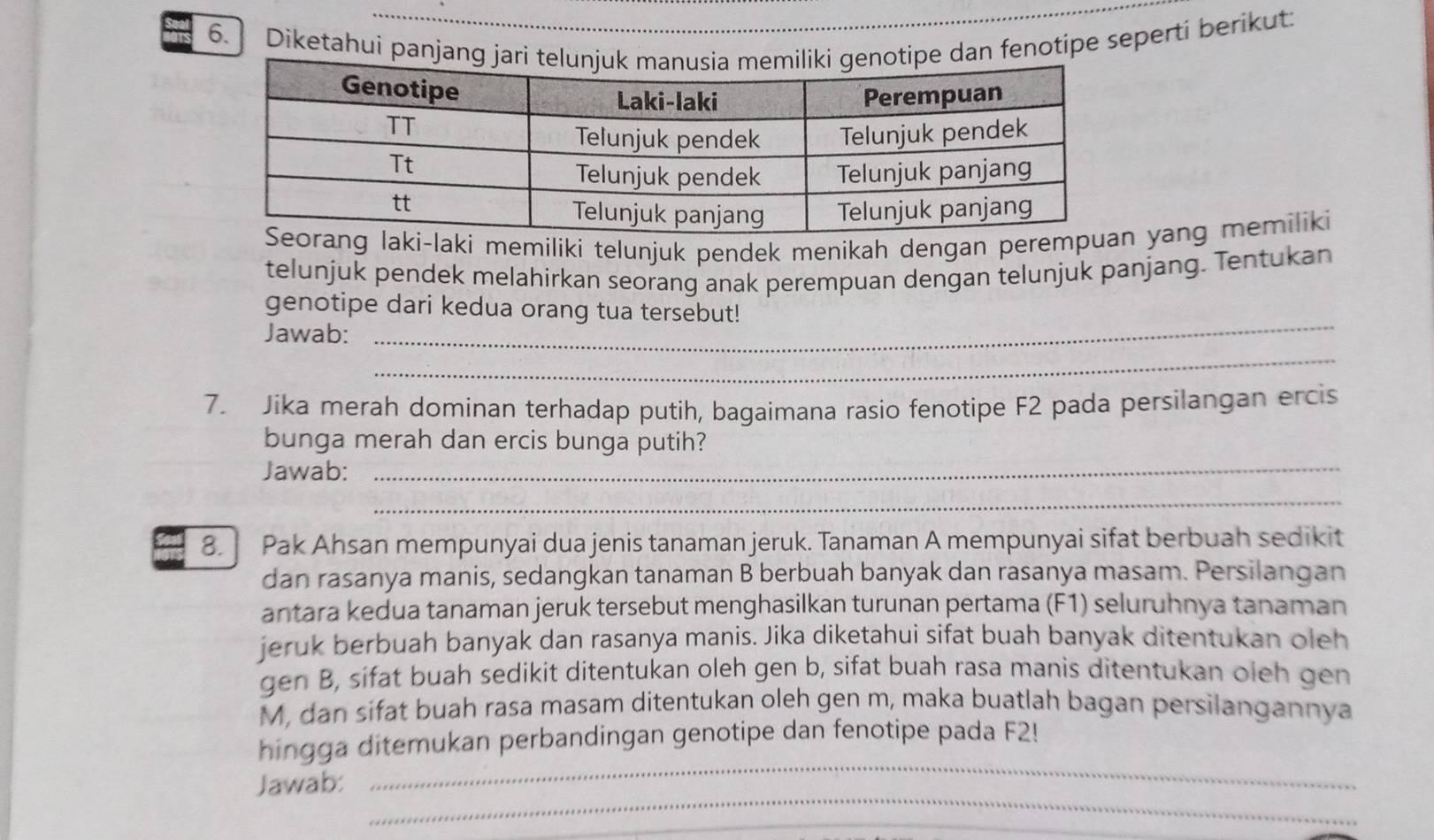 Diketahui panj fenotipe seperti berikut: 
ki memiliki telunjuk pendek menikah dengan pere yang memiliki 
telunjuk pendek melahirkan seorang anak perempuan dengan telunjuk panjang. Tentukan 
_ 
genotipe dari kedua orang tua tersebut! 
_ 
Jawab: 
7. Jika merah dominan terhadap putih, bagaimana rasio fenotipe F2 pada persilangan ercis 
bunga merah dan ercis bunga putih? 
Jawab:_ 
_ 
8. Pak Ahsan mempunyai dua jenis tanaman jeruk. Tanaman A mempunyai sifat berbuah sedikit 
dan rasanya manis, sedangkan tanaman B berbuah banyak dan rasanya masam. Persilangan 
antara kedua tanaman jeruk tersebut menghasilkan turunan pertama (F1) seluruhnya tanaman 
jeruk berbuah banyak dan rasanya manis. Jika diketahui sifat buah banyak ditentukan oleh 
gen B, sifat buah sedikit ditentukan oleh gen b, sifat buah rasa manis ditentukan oleh gen 
M, dan sifat buah rasa masam ditentukan oleh gen m, maka buatlah bagan persilangannya 
_ 
hingga ditemukan perbandingan genotipe dan fenotipe pada F2! 
_ 
Jawab: