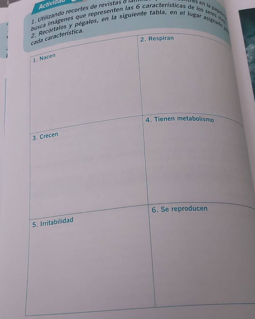 Actividau 
1 . i s 
mágenes que representen las 6 características de los seres vv 
galos, en la siguiente tabla, en el lugar asigna