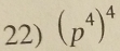 (p^4)^4