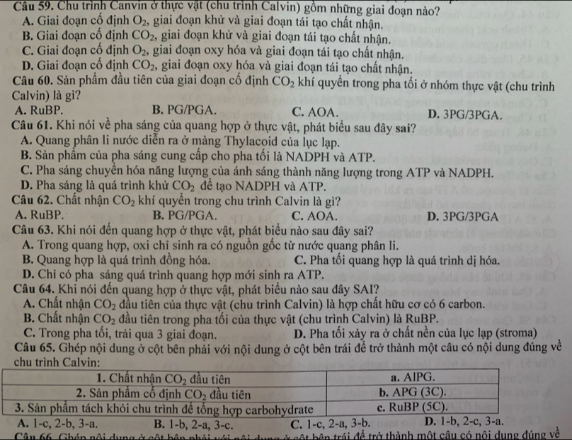 Chu trình Canvin ở thực vật (chu trình Calvin) gồm những giai đoạn nào?
A. Giai đoạn cố định O_2 , giai đoạn khử và giai đoạn tái tạo chất nhận.
B. Giai đoạn cố định CO_2 , giai đoạn khử và giai đoạn tái tạo chất nhận.
C. Giai đoạn cố định O_2 , giai đoạn oxy hóa và giai đoạn tái tạo chất nhận.
D. Giai đoạn cố định CO_2 , giai đoạn oxy hóa và giai đoạn tái tạo chất nhận.
Câu 60. Sản phẩm đầu tiên của giai đoạn cố định CO_2 khí quyền trong pha tối ở nhóm thực vật (chu trình
Calvin) là gì?
A. RuBP. B. PG/PGA. C. AOA. D. 3PG/3PGA.
Câu 61. Khi nói về pha sáng của quang hợp ở thực vật, phát biểu sau đây sai?
A. Quang phân li nước diễn ra ở màng Thylacoid của lục lạp.
B. Sản phầm của pha sáng cung cấp cho pha tối là NADPH và ATP.
C. Pha sáng chuyền hóa năng lượng của ánh sáng thành năng lượng trong ATP và NADPH.
D. Pha sáng là quá trình khử CO_2 để tạo NADPH và ATP.
Câu 62. Chất nhận CO_2 khí quyển trong chu trình Calvin là gì?
A. RuBP. B. PG/PGA. C. AOA. D. 3PG/3PGA
Câu 63. Khi nói đến quang hợp ở thực vật, phát biểu nào sau đây sai?
A. Trong quang hợp, oxi chỉ sinh ra có nguồn gốc từ nước quang phân li.
B. Quang hợp là quá trình đồng hóa. C. Pha tối quang hợp là quá trình dị hóa.
D. Chi có pha sáng quá trình quang hợp mới sinh ra ATP.
Câu 64. Khi nói đến quang hợp ở thực vật, phát biểu nào sau đây SAI?
A. Chất nhận CO_2 đầu tiên của thực vật (chu trình Calvin) là hợp chất hữu cơ có 6 carbon.
B. Chất nhận CO_2 đầu tiên trong pha tối của thực vật (chu trình Calvin) là RuBP.
C. Trong pha tối, trải qua 3 giai đoạn. D. Pha tối xảy ra ở chất nền của lục lạp (stroma)
Câu 65. Ghép nội dung ở cột bên phải với nội dung ở cột bên trái để trở thành một câu có nội dung đúng về
A. . l-c, 2-b,3-a. B. 1-b, 2-a, 3-c. C. 1-c, 2-a, 3-b. D. 1-b, 2-c, 3-a.
Câu 66, Ghép nội dung ở cột bên nhải với à cột bên trái đề trở thành một câu có nôi dụng đúng về