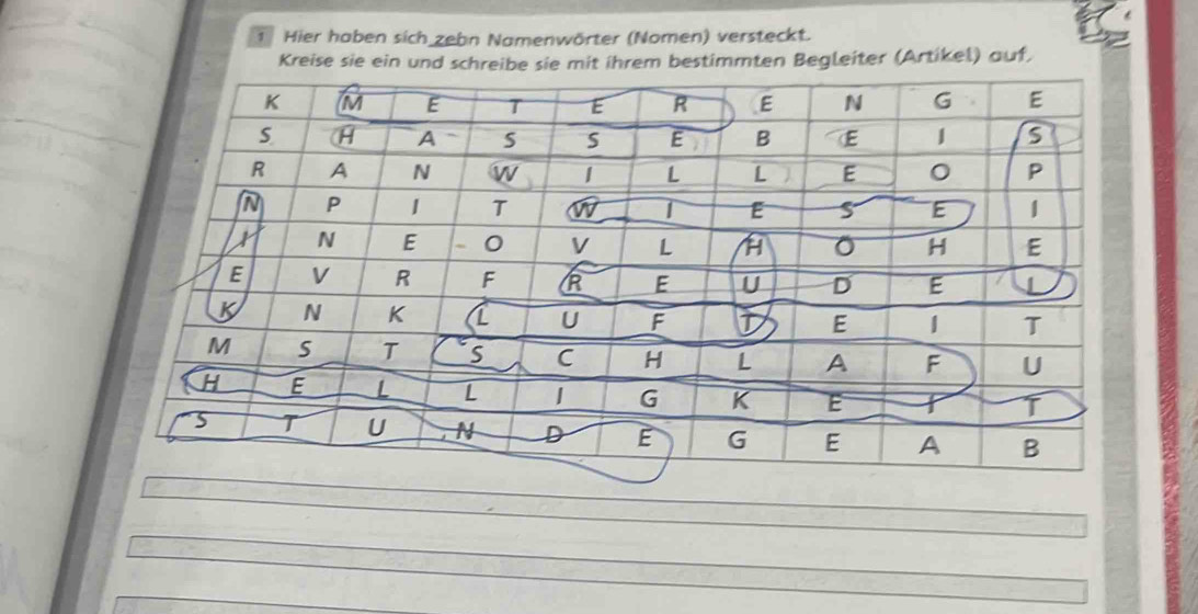 Hier haben sich zehn Namenwörter (Nomen) versteckt. 
Kreise sie ein und schreibe sie mit ihrem bestimmten Begleiter (Artikel) auf,