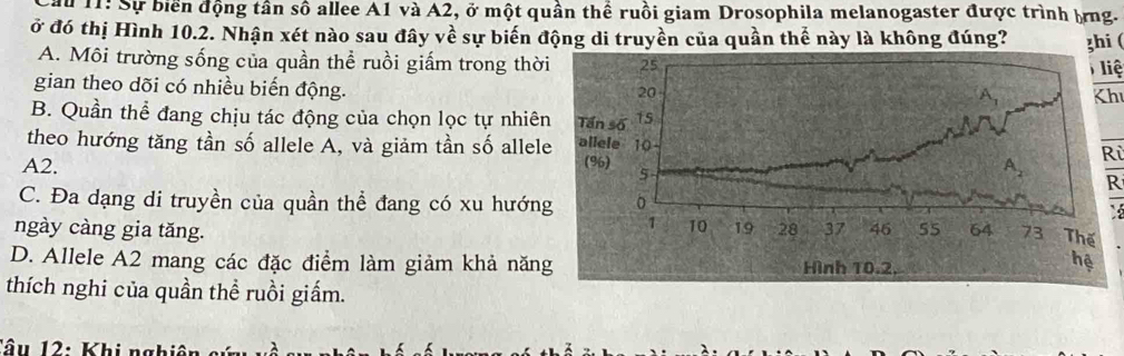 lu 11: Sự biển động tần số allee A1 và A2, ở một quần thể ruồi giam Drosophila melanogaster được trình bng.
ở đó thị Hình 10.2. Nhận xét nào sau đây về sự biến động di truyền của quần thể này là không đúng? zhi (
A. Môi trường sống của quần thể ruồi giấm trong thờliệ
gian theo dõi có nhiều biến động.
Kh
B. Quần thể đang chịu tác động của chọn lọc tự nhiê
theo hướng tăng tần số allele A, và giảm tần số allel
A2. 
Ri
R
C. Đa dạng di truyền của quần thể đang có xu hướn
`
ngày càng gia tăng.
D. Allele A2 mang các đặc điểm làm giảm khả năn
thích nghi của quần thể ruồi giấm.
Tâu 12: Khi nghiê