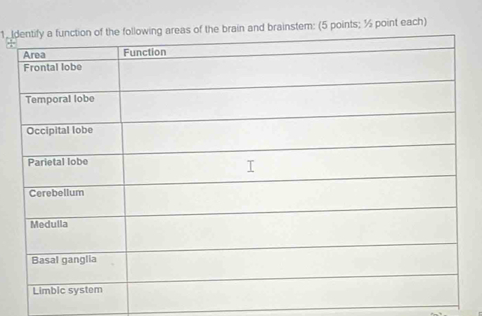 rain and brainstem: (5 points; ½ point each)