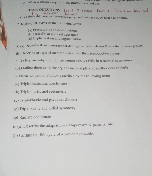 Write a detailed report on the practical carried out.
TASK QUESTIONS: 
1 Give three differences between a polyp and medusa body forms of cridaria
2. Distinguish between the following terms:
(a) Protostome and deuterostome
(b) Unicellular and cell aggregate
(c) Cephalization and tagmatization
3. (a) Describe three features that distinguish echinoderms from other animal groups.
(b) Describe groups of mammals based on their reproductive biology.
4. (a) Explain why amphibians cannot survive fully in terrestrial ecosystems.
(b) Outline three evolutionary advances of platyhelminthes over cnidaria
5. Name an animal phylum described by the following terms
(a) Triploblastic and aceolomate
(b) Triploblastic and metameric
(c) Triploblastic and pseudocoelomate
(d) Diploblastic and radial symmetry
(e) Radiate coelomate
6. (a) Describe the adaptations of tapeworm to parasitic life.
(b) Outline the life cycle of a named nematode.