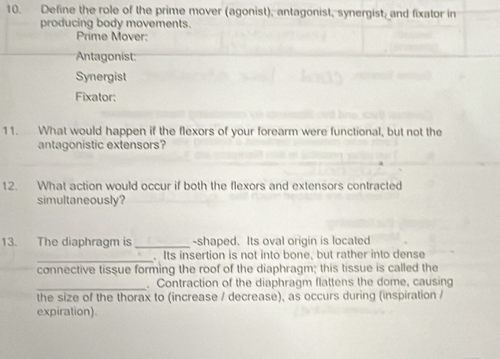 Define the role of the prime mover (agonist), antagonist, synergist, and fixator in 
producing body movements. 
Prime Mover: 
Antagonist 
Synergist 
Fixator: 
11. What would happen if the flexors of your forearm were functional, but not the 
antagonistic extensors? 
12. What action would occur if both the flexors and extensors contracted 
simultaneously? 
13. The diaphragm is_ -shaped. Its oval origin is located 
_. Its insertion is not into bone, but rather into dense 
connective tissue forming the roof of the diaphragm; this tissue is called the 
_ 
. Contraction of the diaphragm flattens the dome, causing 
the size of the thorax to (increase / decrease), as occurs during (inspiration / 
expiration).